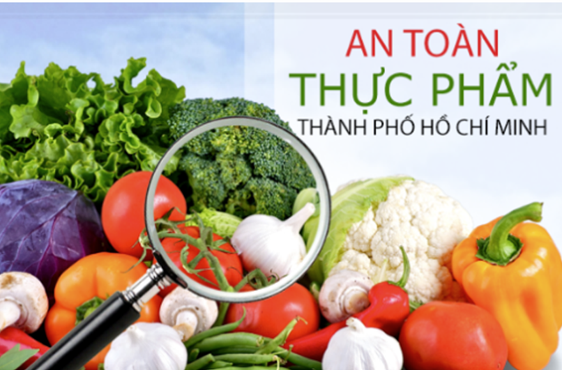 Giấy phép ATVSTP